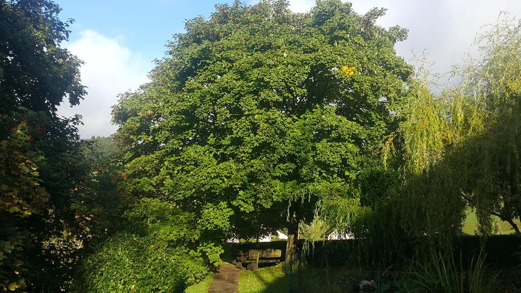 Hotel Trojane, Inspiration Of The Green Retreat Ngoại thất bức ảnh